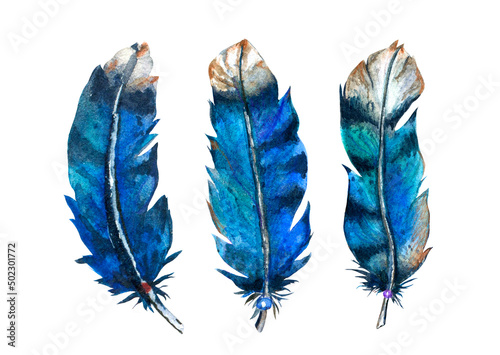 set of three jay bird feathers with spots and stripes, watercolor illustration isolated on white background
