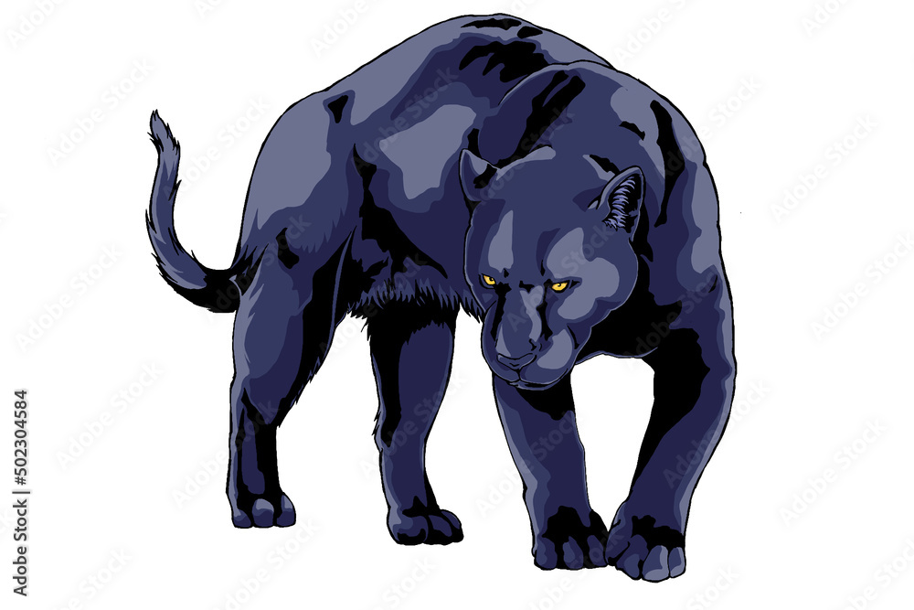Obraz premium 黒豹 black Panther