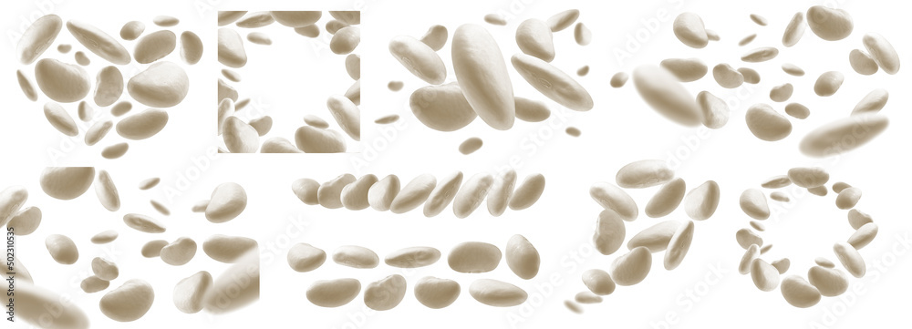 A set of photos. White beans levitate on a white background A set of photos. White beans levitate on a white background