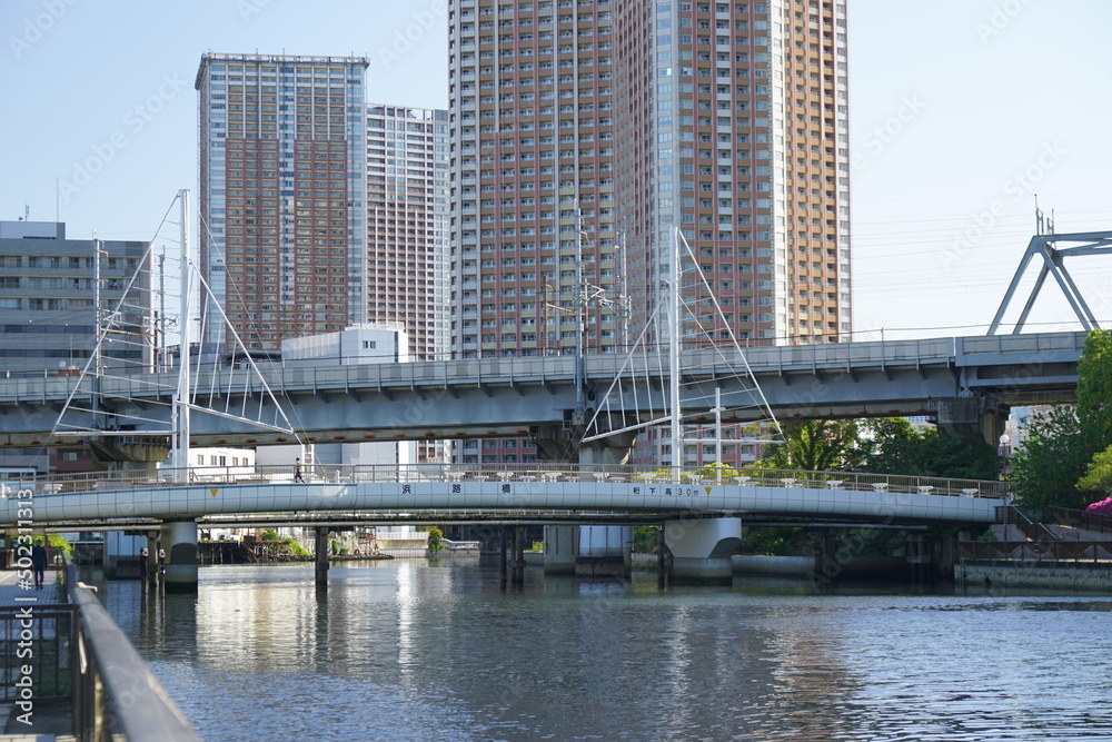 浜路橋と新幹線