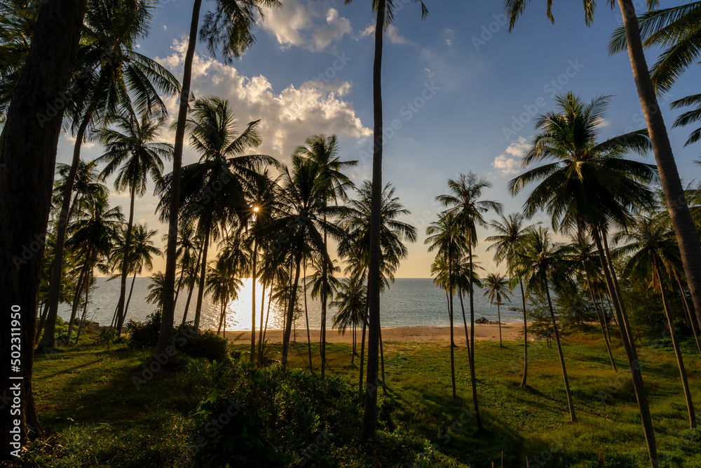 Silhouette coconut palm trees at sunset or sunrise sky over sea Amazing light nature colorful landscape Beautiful light nature sky and clouds Silhouette coconut palm trees at sunset or sunrise sky over sea Amazing light nature colorful landscape Beautiful light nature sky and clouds