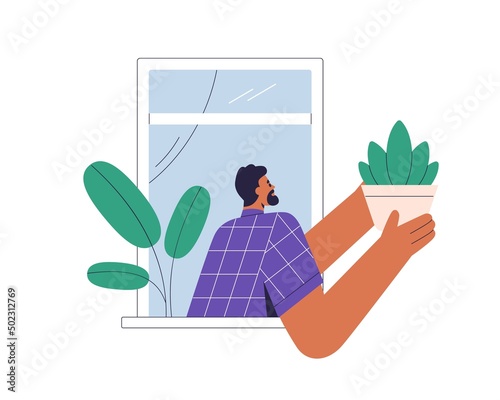 Person in open window, holding leaf plant in pot for decorating outside of house. Man with houseplant for home decoration, urban jungle. Flat vector illustration isolated on white background
