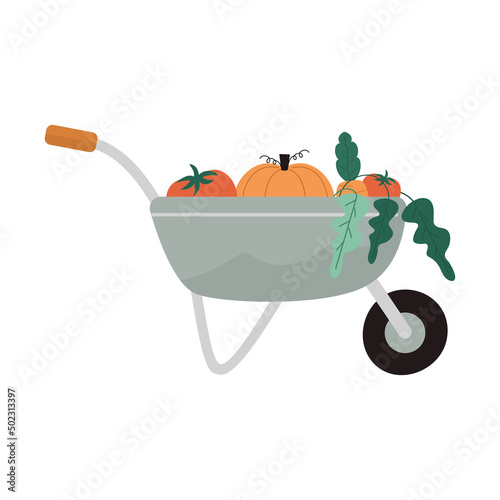 wheelbarrow with vegetables