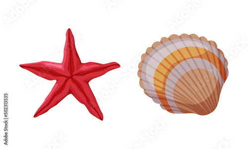 Seashell and Starfish as Travel and Tourism Attribute Vector Set