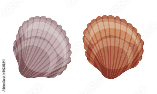 Seashell as Travel and Tourism Attribute Vector Set