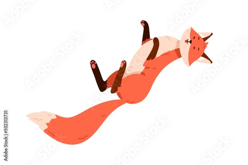 Cute funny fox lying on back. Happy wild forest animal relaxing. Adorable lazy baby character resting with belly up. Smiling orange foxy pup. Flat vector illustration isolated on white background