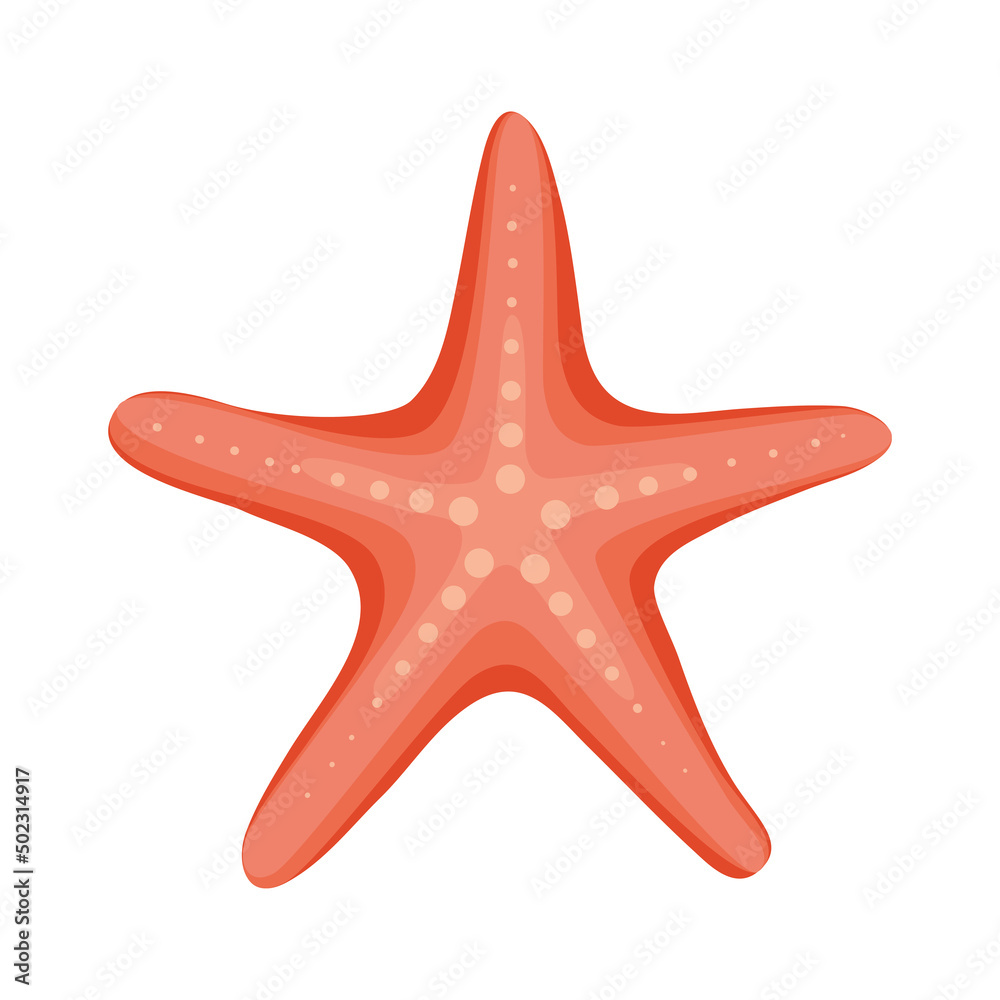 red starfish design red starfish design