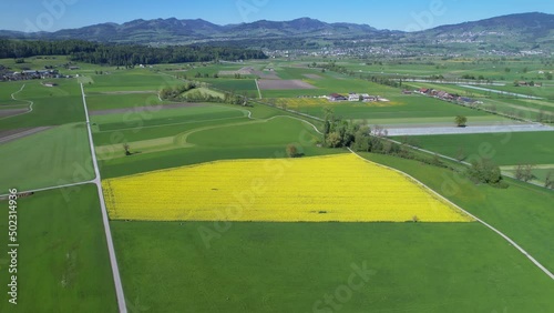 Drone flight over a bright yellow canola field in a rural valley in Switzerland