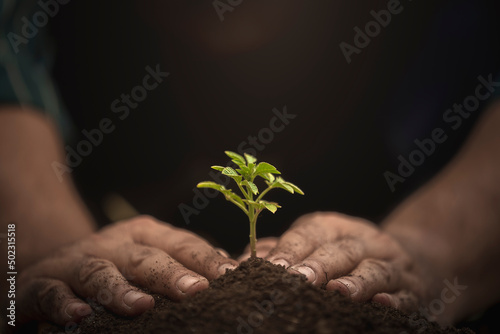 Young growing plant on soil holding by farmer hand.