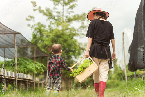 Children little boy help his mom  picking up fresh organic vegetables from home garden.