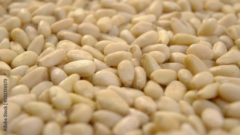 Pine nuts. Raw peeled kernels close-up. Cedar seeds. Macro. Rotation Pine nuts. Raw peeled kernels close-up. Cedar seeds. Macro. Rotation