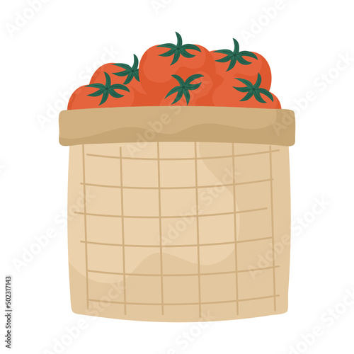 tomatoes basket design