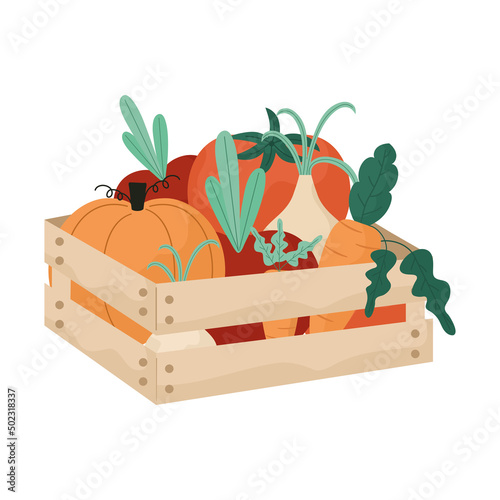 vegetables basket illustration