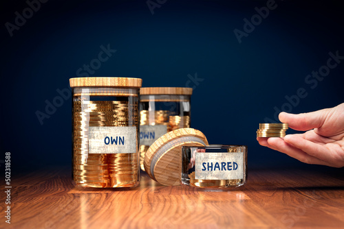 Own versus shared things cost efficiency concept