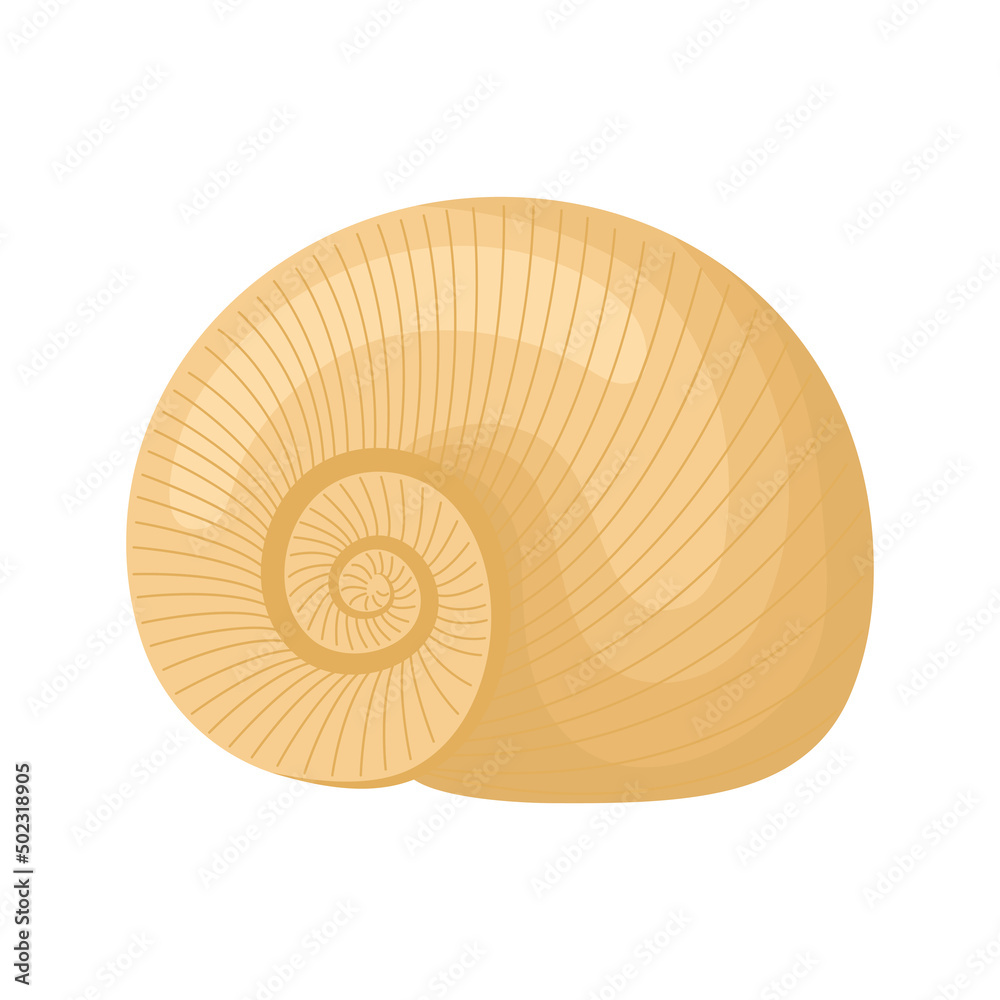 Obraz premium engraved seashell design