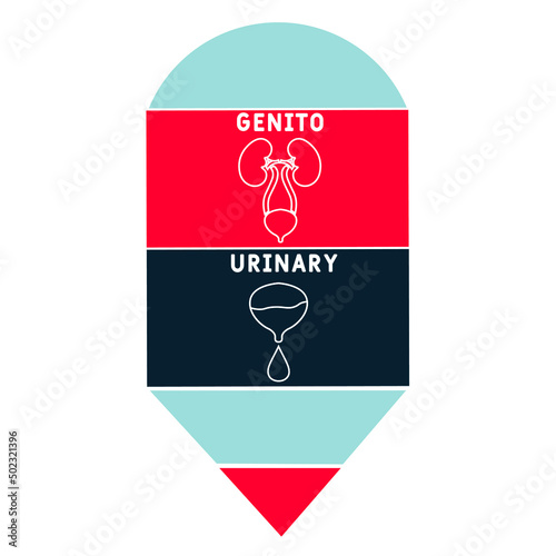 GU - Genitourinary acronym. medical concept background.  vector illustration concept with keywords and icons. lettering illustration with icons for web banner, flyer, landing 