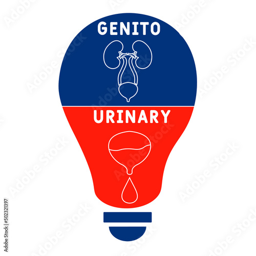 GU - Genitourinary acronym. medical concept background.  vector illustration concept with keywords and icons. lettering illustration with icons for web banner, flyer, landing 