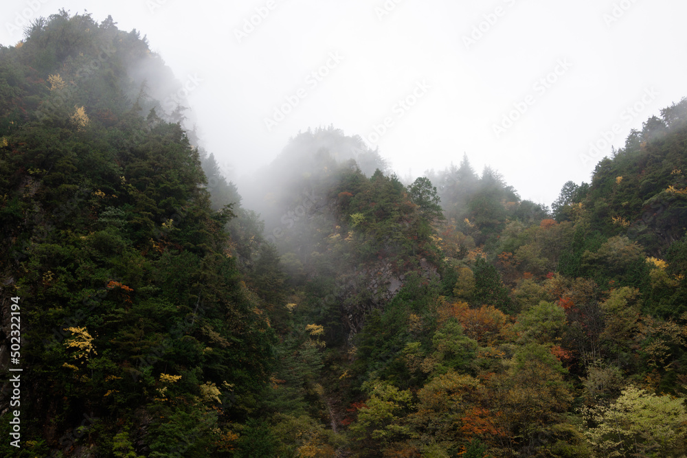 foggy mountains