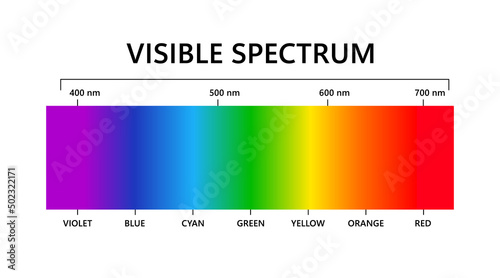 Visible light spectrum. Electromagnetic visible color spectrum for human eye. Vector gradient diagram with wavelength and colors. Educational illustration on white background. photo