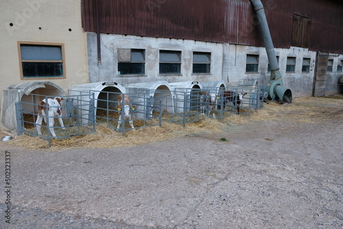 FU 2020-07-05 Kakus 1188 Vor dem Gebäude sind Kälberställe photo