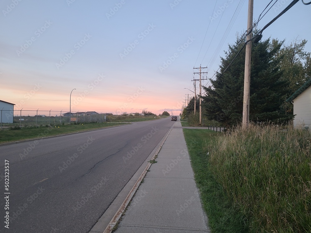 Fototapeta premium road in the countryside