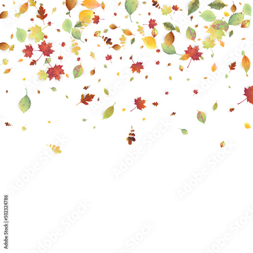 Leaves Falling Autumn Foliage Chaotic Leaf Flying