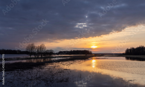 Dramatic evening landscape. The sunset sky is reflected in the water. Silhouettes of fabulous trees at sunset. The river overflowed its banks.