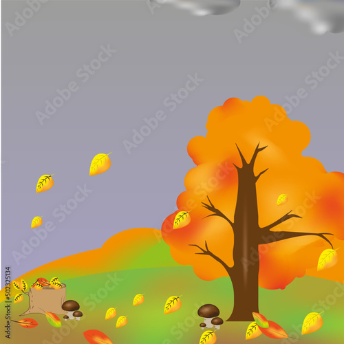 autumn landscape
