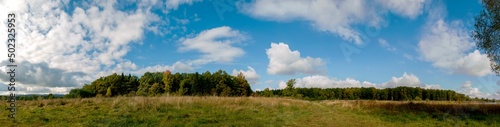 Spring forest and field on a background of blue sky