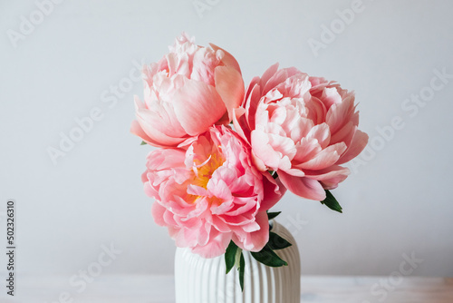 Beautiful bunch of fresh Coral Charm peonies in full bloom in vase against white background, close up. Copy space. Minimalist floral still life with blooming flowers.