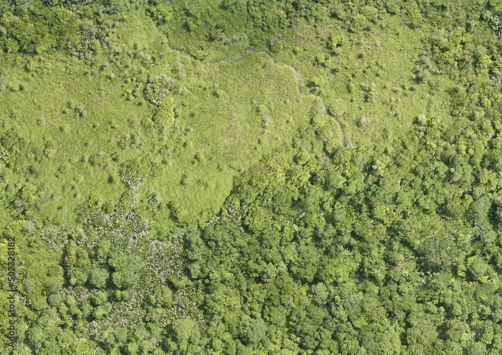 Top View Aerial Photograph of Grassland