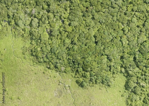 Top View Aerial Photograph of Grassland