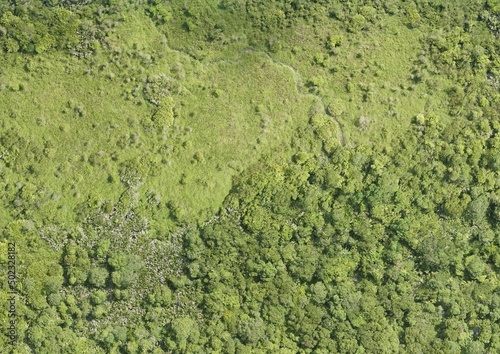 Fototapeta Naklejka Na Ścianę i Meble -  Top View Aerial Photograph of Grassland