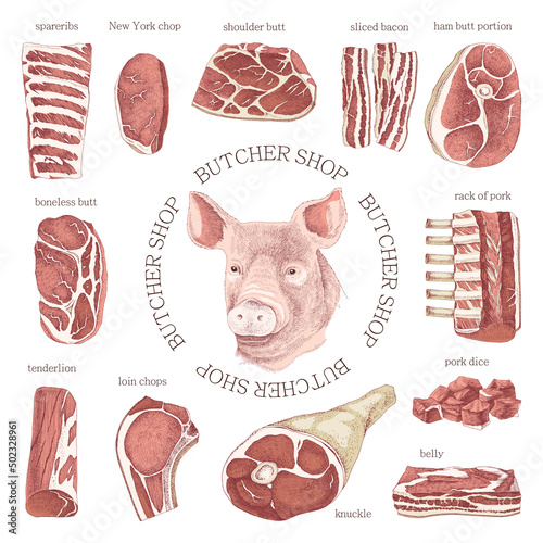 Hand drawn meat elements set. Butcher shop logo. 