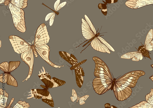 Set of insects: beetles, butterflies, moths, dragonflies. Etymologist's set. Seamless pattern, background. Vector illustration. In realistic style on military green, khaki background