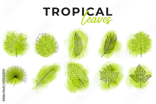 A set of tropical leaves on watercolor spots