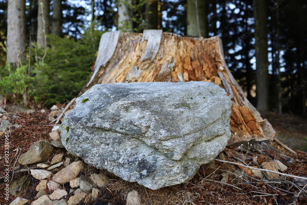 Obraz premium stone and stump