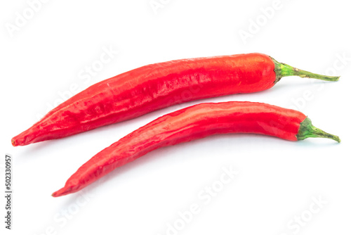 Fresh two red chilli on white background. photo