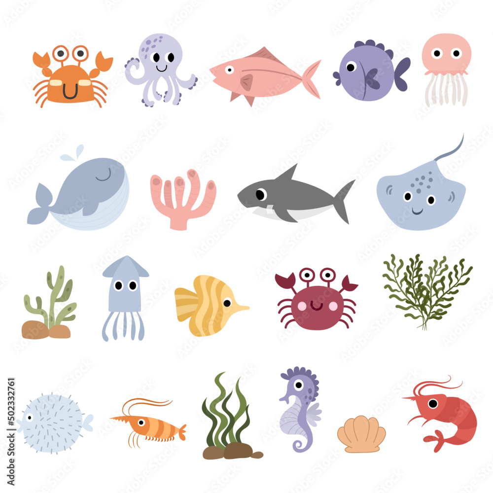 Sea animals and plants underwater.