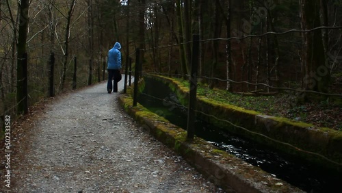 Wallpaper Mural Woman in the forest. Lost. Torontodigital.ca