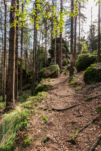 Forest with rock formations and hiking trail in Broumovske steny in Czech republic