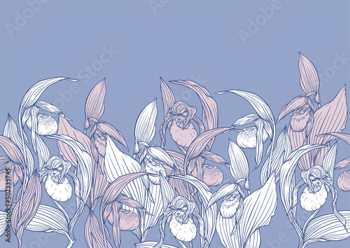 Lady's slipper orchid, Cypripedioideae, Seamless pattern, background. Vector illustration. In botanical style.