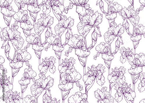 Seamless pattern with Iris flowers, purple and blue irises. Vector illustration