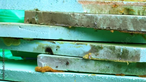 Styrofoam waste in nature. Construction site.