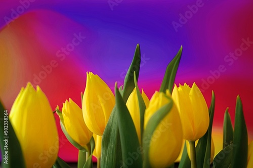 Wiosenne tulipany na pięknym kolorowym tle