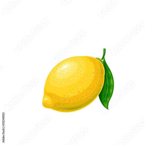 Whole lemon with leaf. Citrus fruit vector illustration.