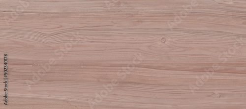  wood texture. wood texture background.