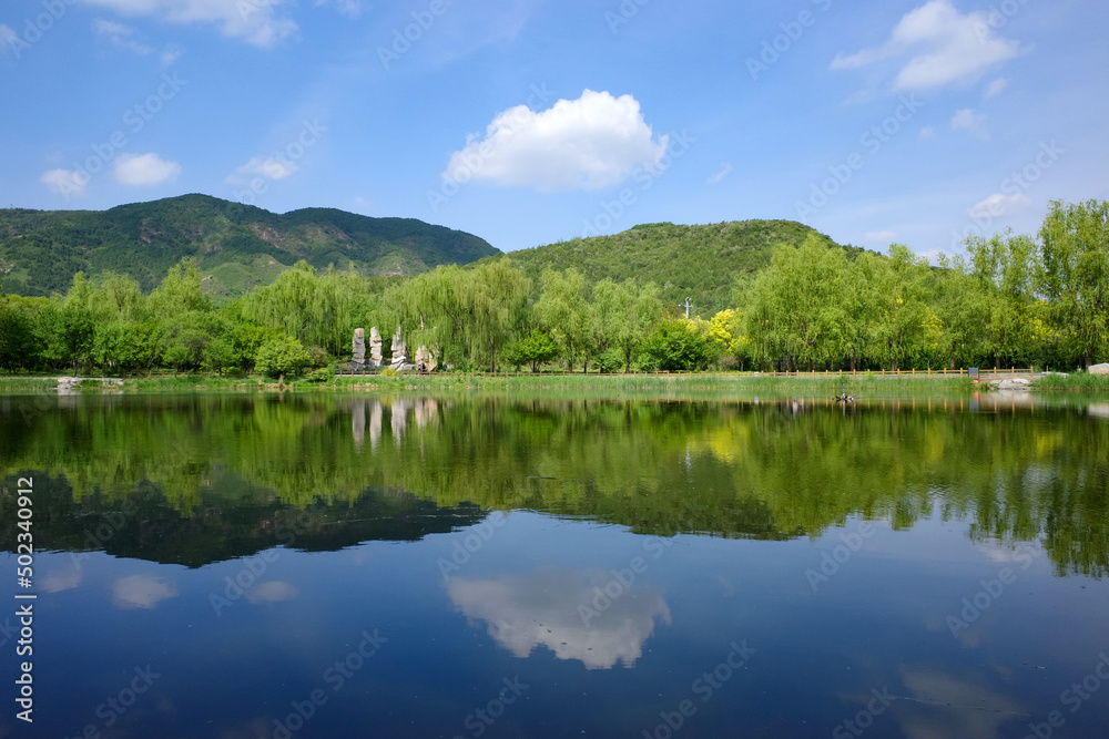 tree and hill have reflection in the lake like mirror