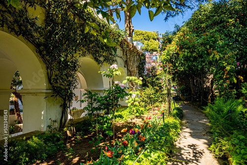 Obraz na plátně Les jardins de la Villa San Michele à Anacapri
