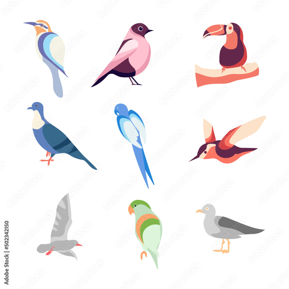 Fototapeta premium Flat Bird Illustration Vector Elements